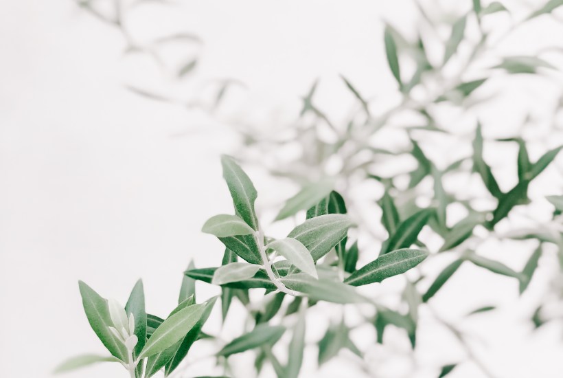 Pinterest marketing for 2019